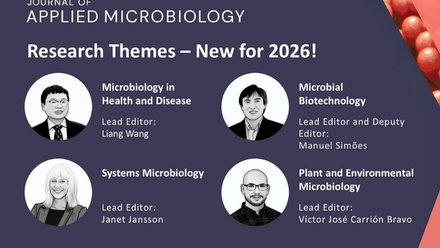 Untitled design (66).png