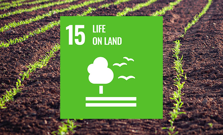 Healthy Land SDG 15 TOC.jpg