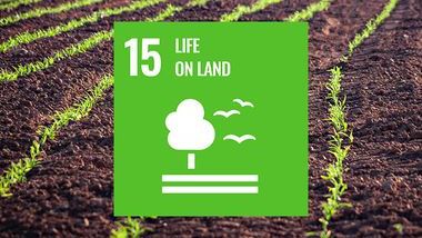 Healthy Land SDG 15 TOC.jpg