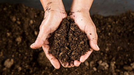 Soil-in-hands.jpg