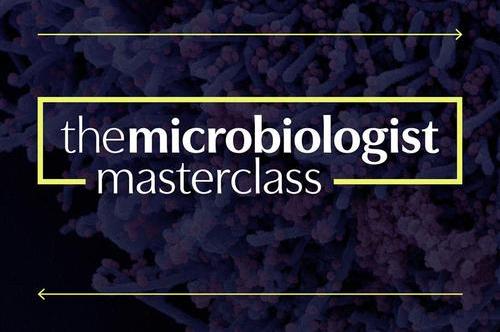 The Microbiologist Masterclass
