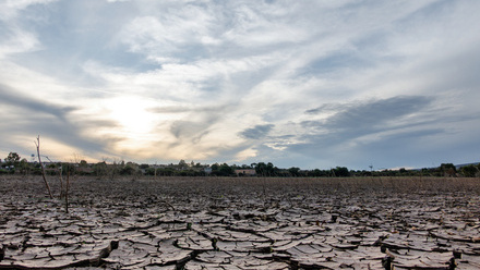Cracked earth
