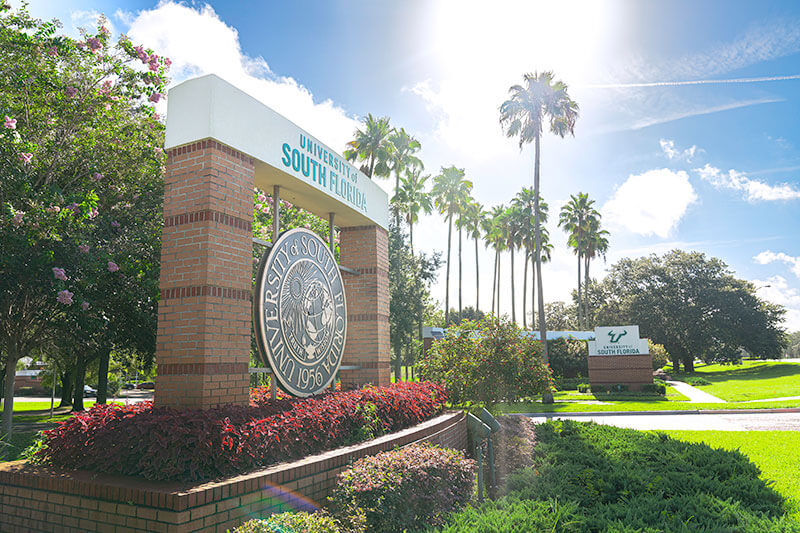 one-usf-tampa.jpg