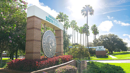 one-usf-tampa.jpg