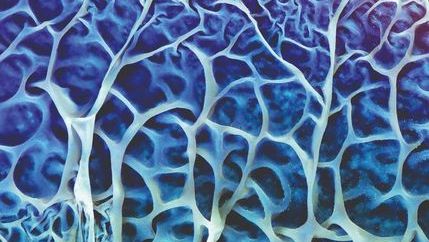 2624_ami_journals_key_journal_image_lam_cmyk_2_728111_crop.jpg