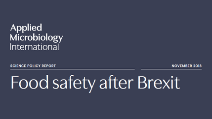 Food safety after brexit.jpg