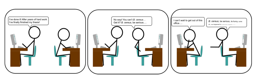 AL_3.png