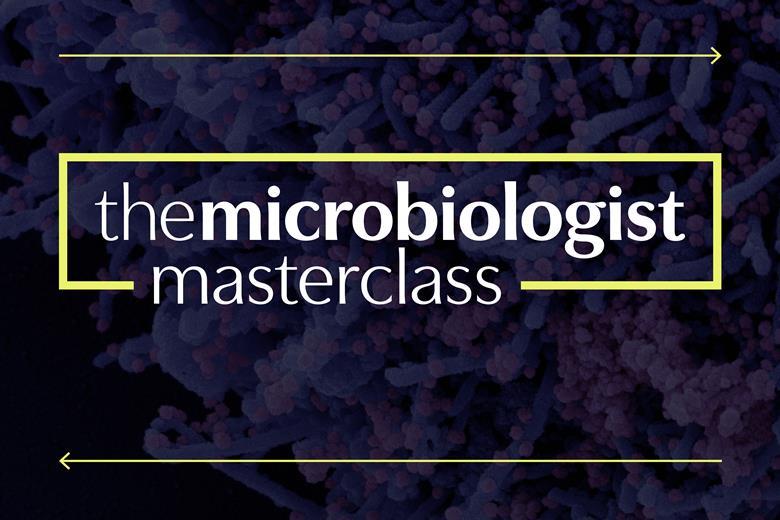 6135_mb_masterclass_article_713898.jpg