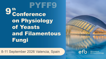 PYFF9 banner 760 430.png
