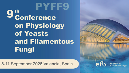 PYFF9 banner 760 430.png