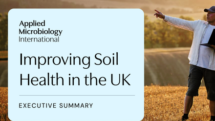 Soil_ES_Policy Report.png
