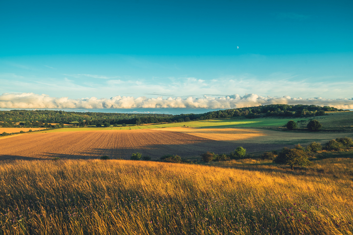 iStock-2161457486.jpg