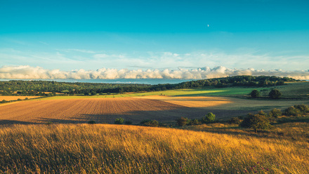 iStock-2161457486.jpg