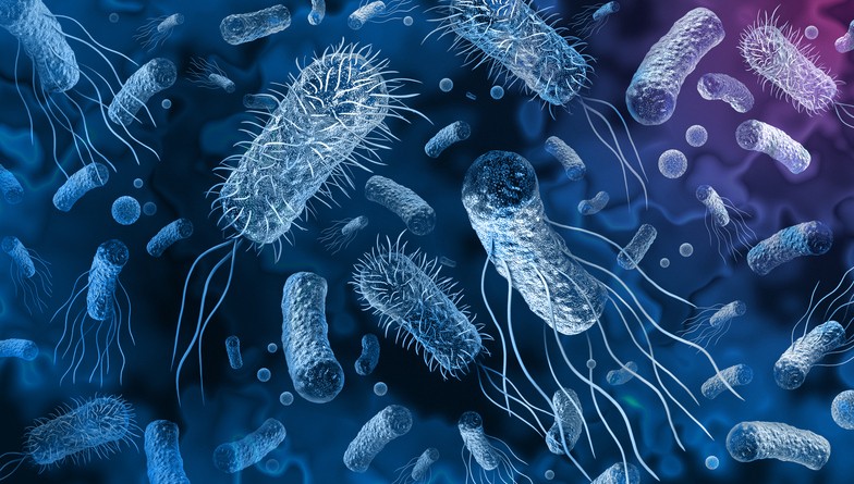 iStock-1269922792.jpg