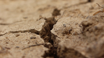 Dry soil