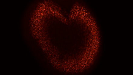 4352_heart_207005_crop.png