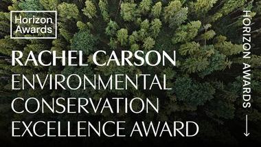 Award Thumbnails5.jpg