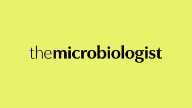 TOC MB Logo Lime.png 1
