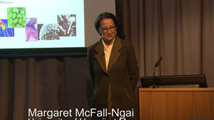 Margaret McFall-Ngai EMI