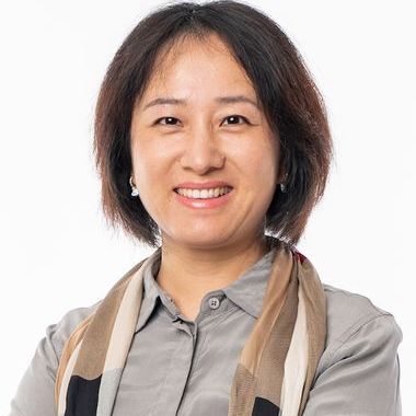 Professor Liu Ye