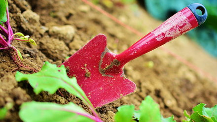 Gardening