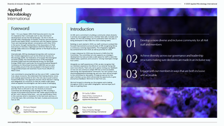 D&I infographic 2025 thumbnail.png