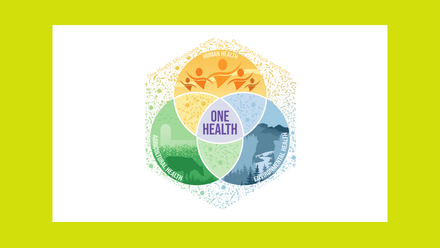 Penn One Health lime.png