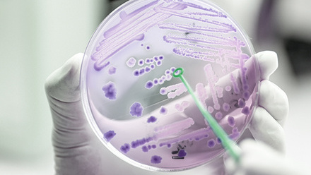 Biofilms.jpg