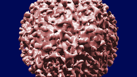Hepatitis C