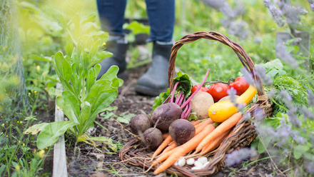 Community Garden.jpg