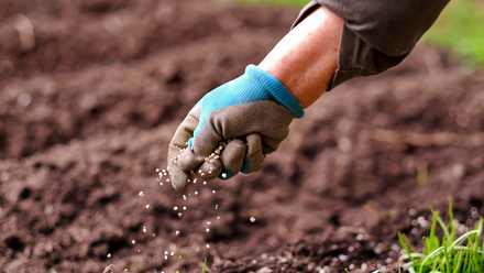 iStock-1307039908.jpg