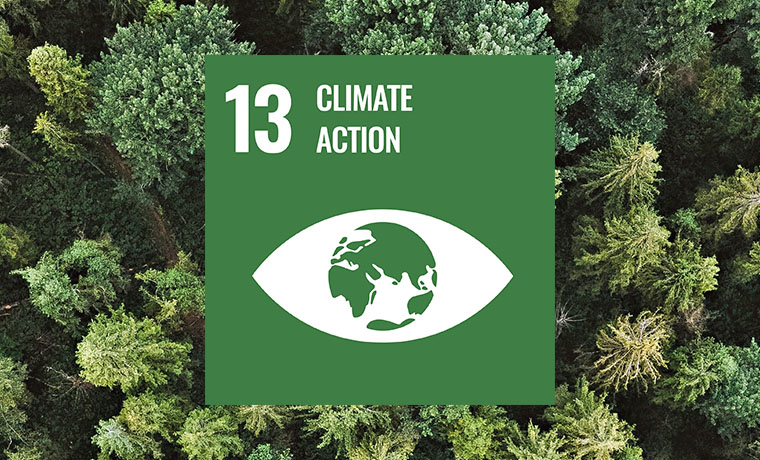 Climate Action SDG 13 TOC.jpg