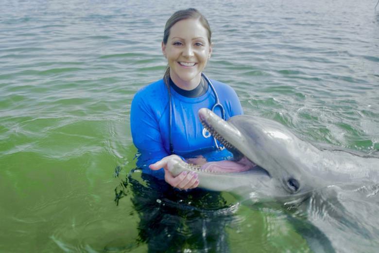 6526_dolphin1_133343_crop.jpg