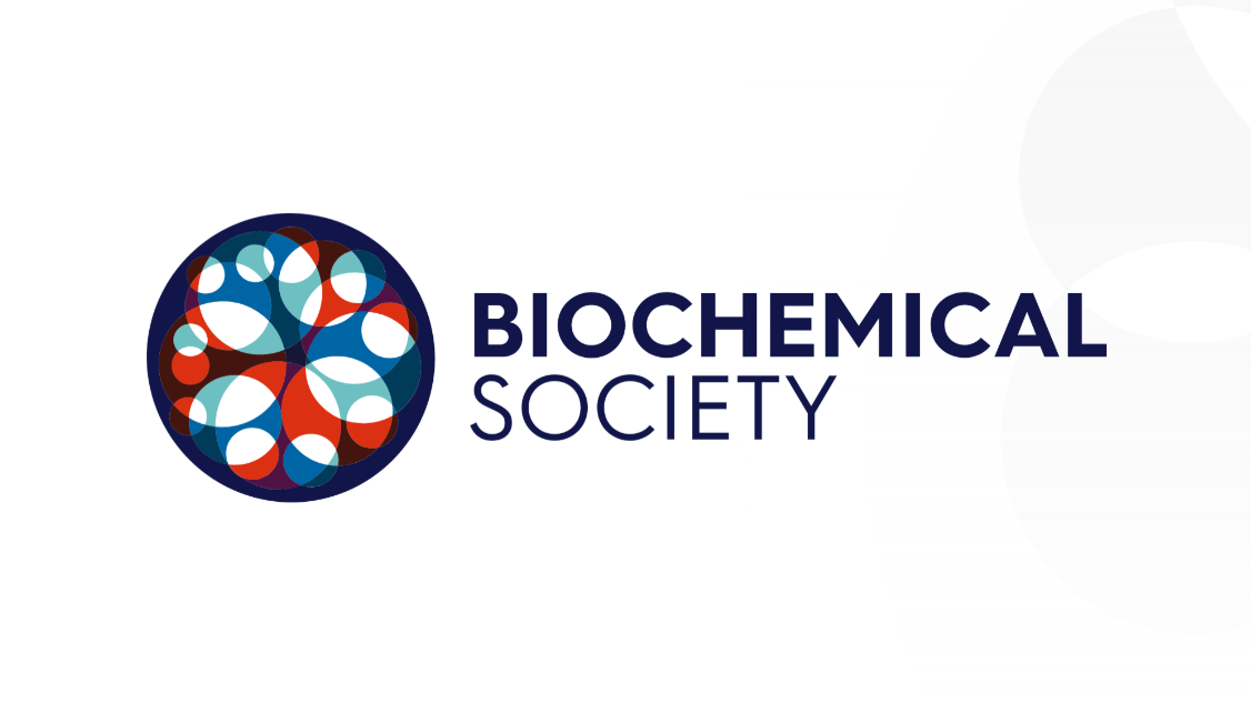 Screenshot 2026-04-29 100031.png