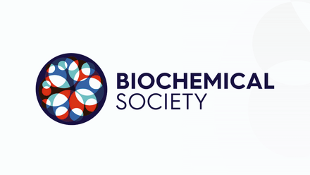 Screenshot 2026-04-29 100031.png