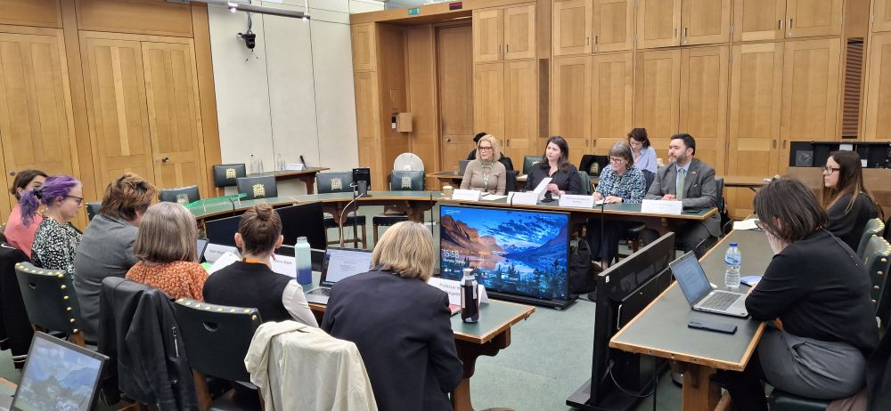 APPG_D&I Event1.jpg