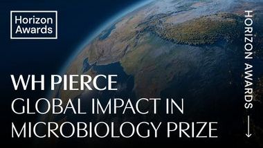 Award Thumbnails.jpg