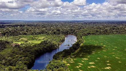 12524_flona_tapajs_par_brasil_by_marizilda_cruppe__rede_amaznia_sustantvel_6__50404922503_932713_crop.jpg
