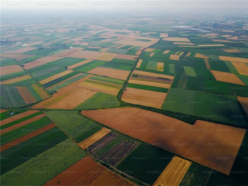 Bird's eyes aerial view photo from flying drone of fields before harvest at summer in the countryside_.jpg