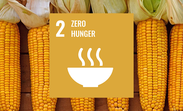 Food Security SDG 2 TOC.jpg