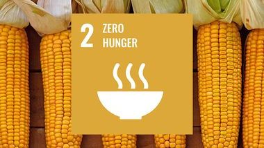 Food Security SDG 2 TOC.jpg