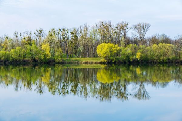 EU River1.jpg