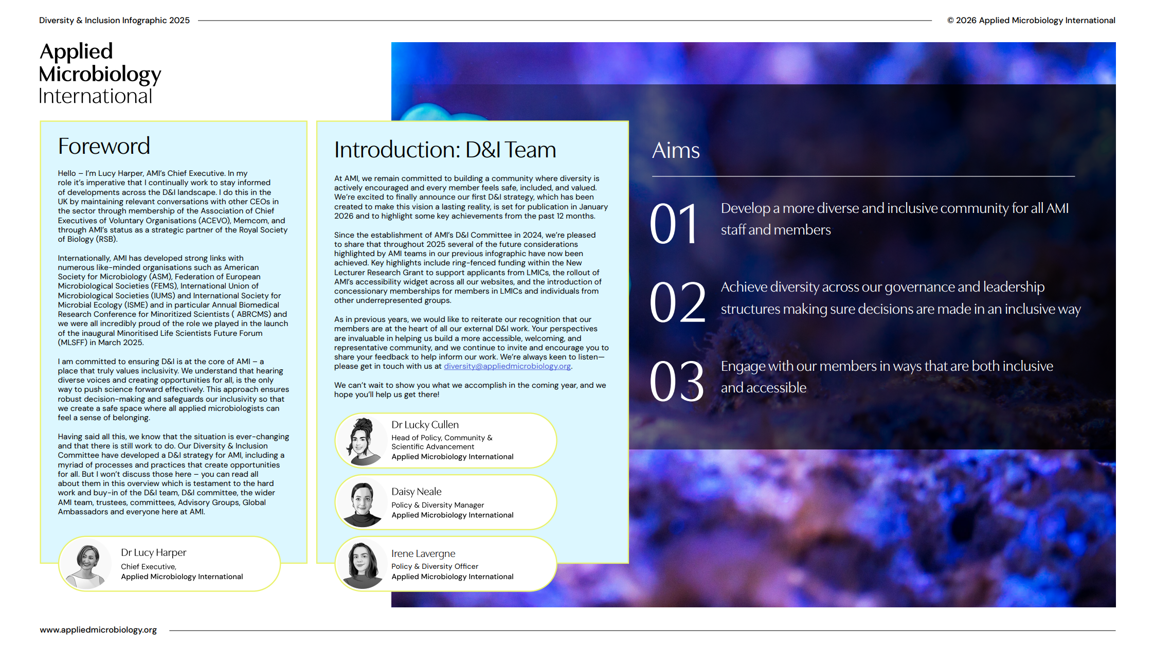 D&I Infographic Thumbnail 2025 (latest).png