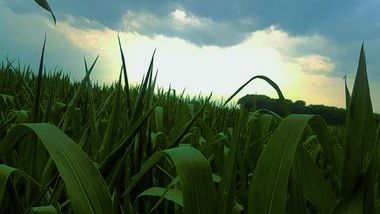 12873_pexelskostunrix1209484_708755_crop.jpg