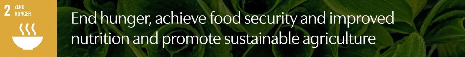 AMI_Food_Security_Banner_02.png