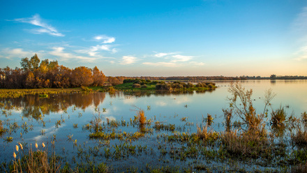 Wetland.jpg