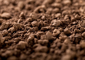Soil.jpg