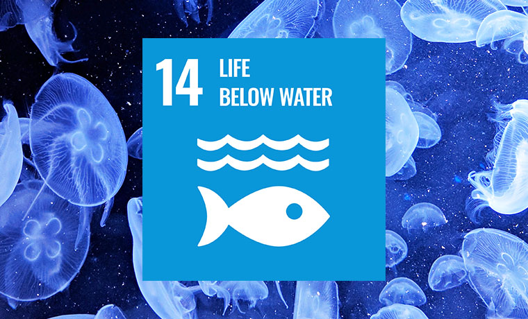 Ocean Sustainability SDG 14 TOC.jpg