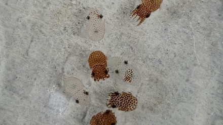 4398_thumbnail_image002_272936_crop.jpg