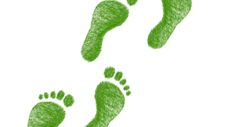 Green footprints